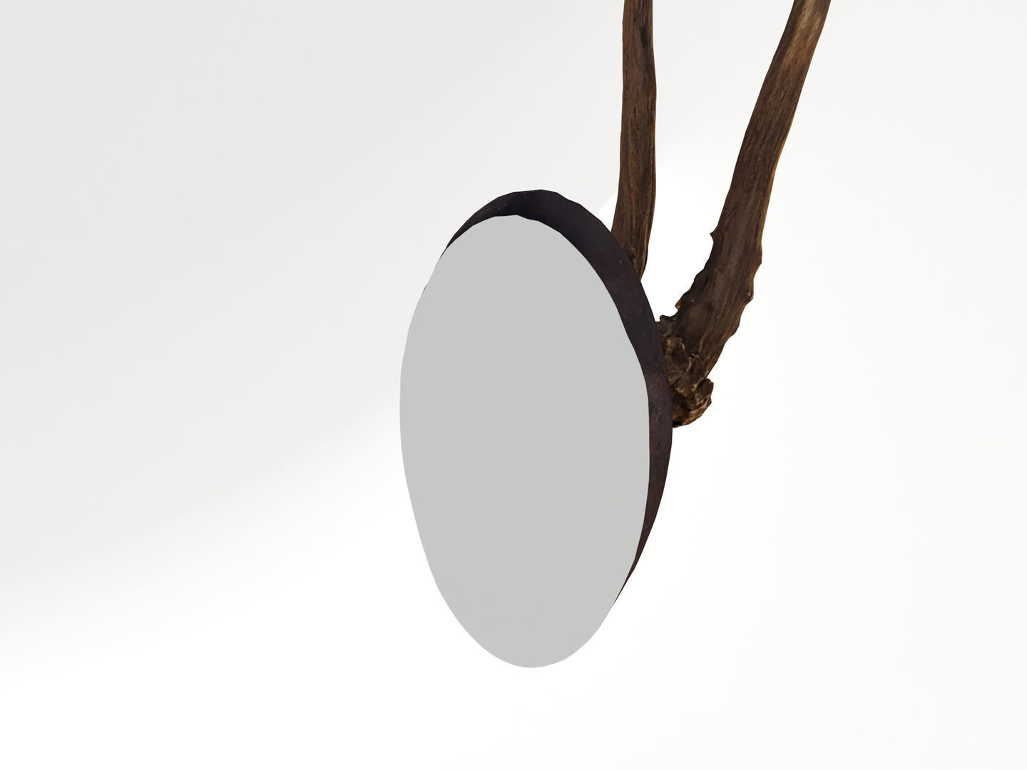 Deer Antler Trophy 3D model_8