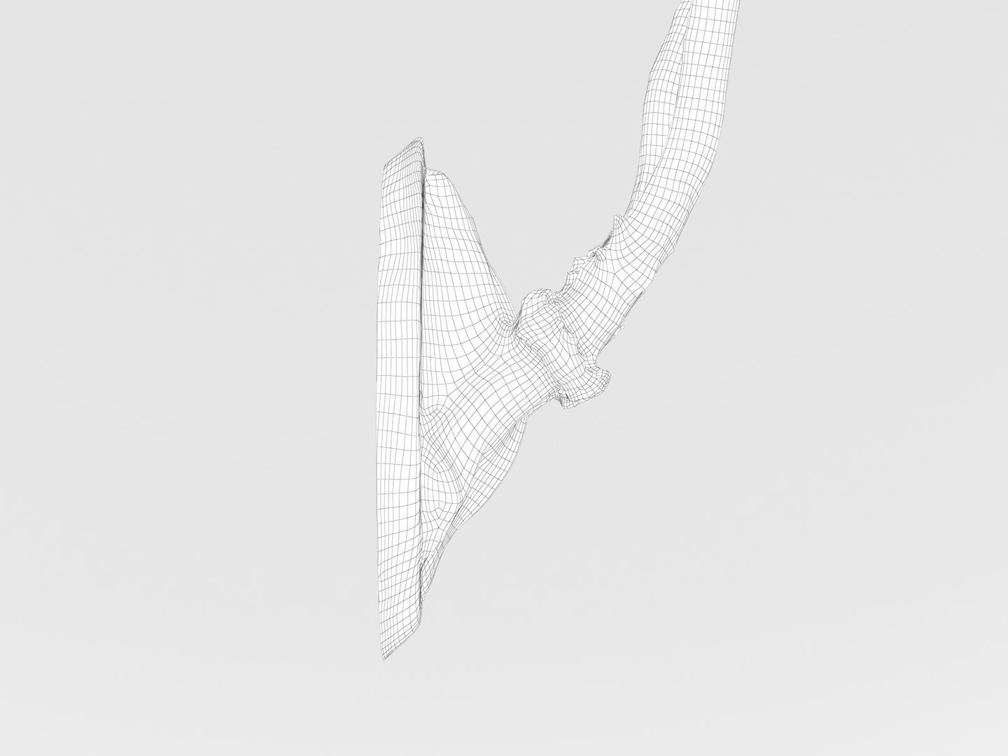 Deer Antler Trophy 3D model_14