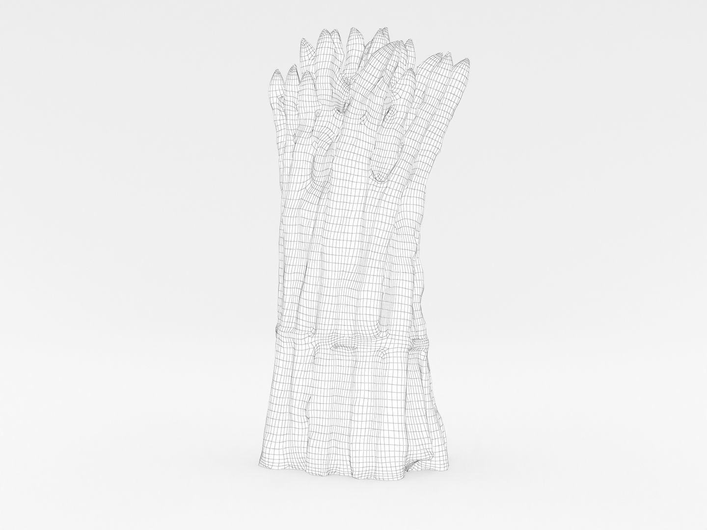 Green Asparagus Bundle 3D model_16