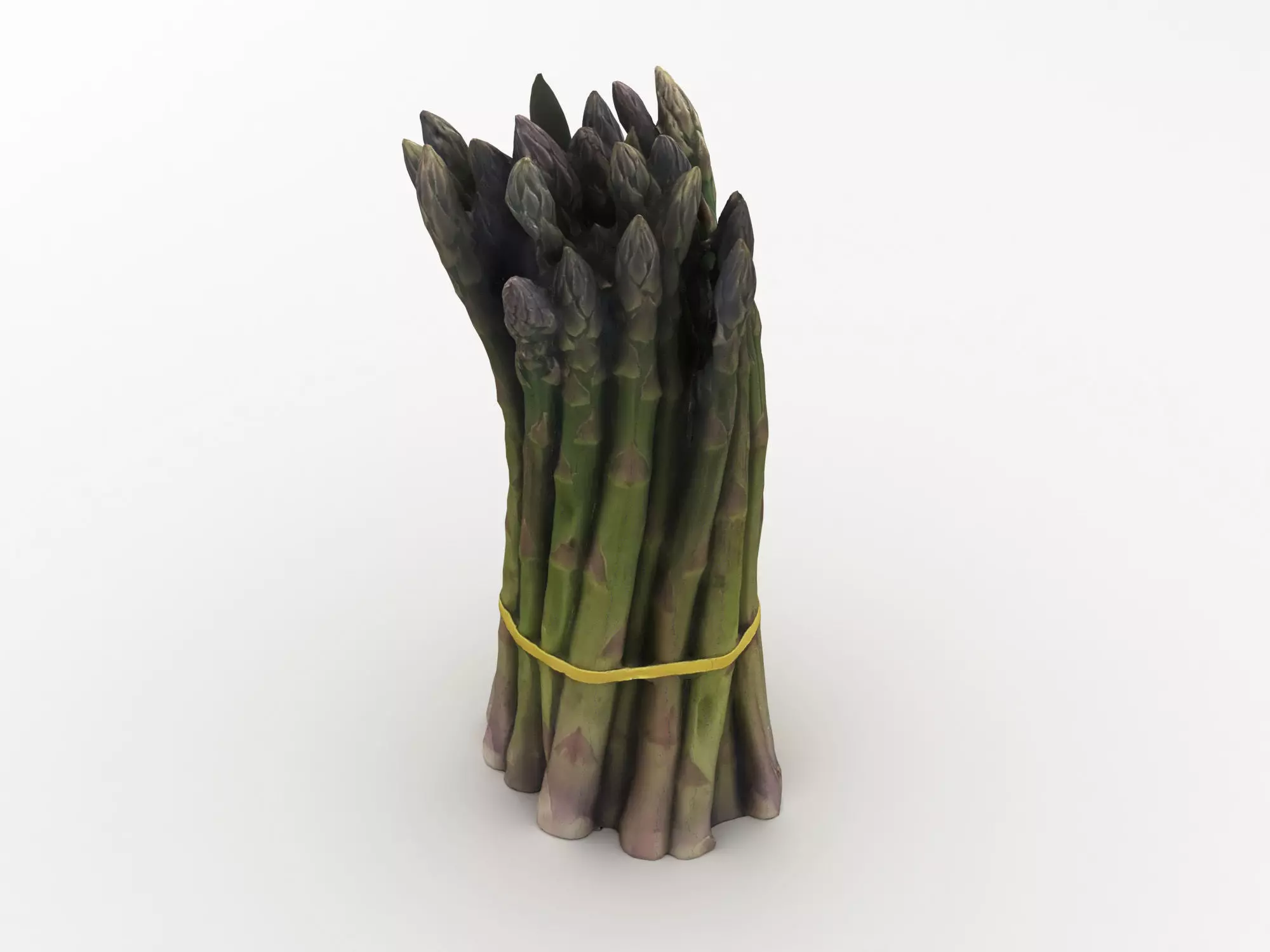 Green Asparagus Bundle 3D model_0
