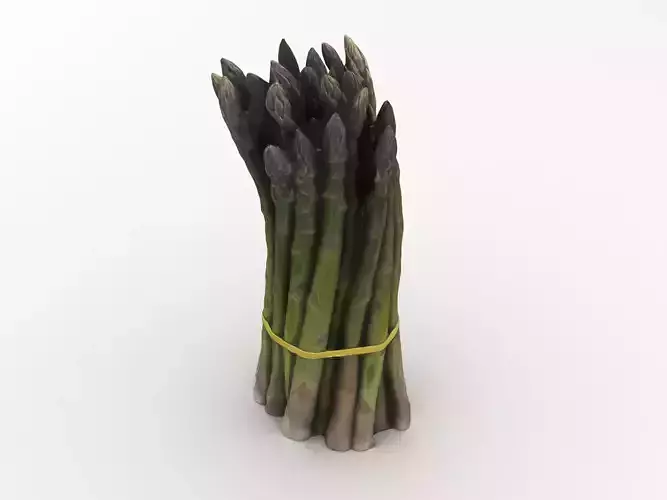 Green Asparagus Bundle 3D model