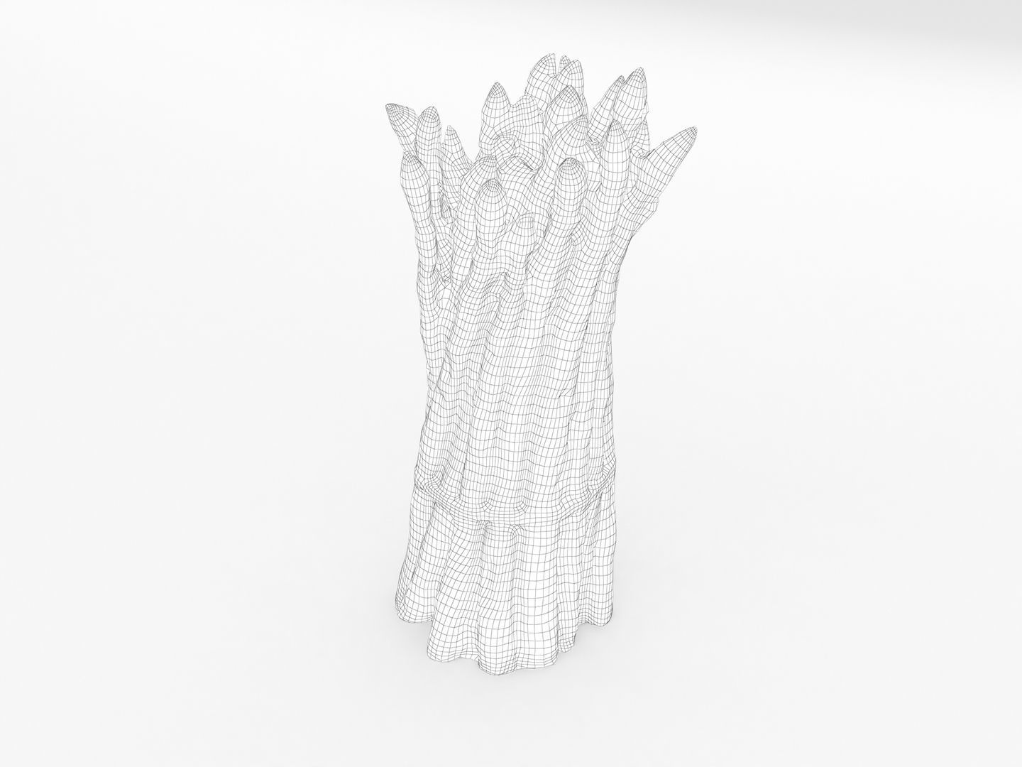 Green Asparagus Bundle 3D model_11
