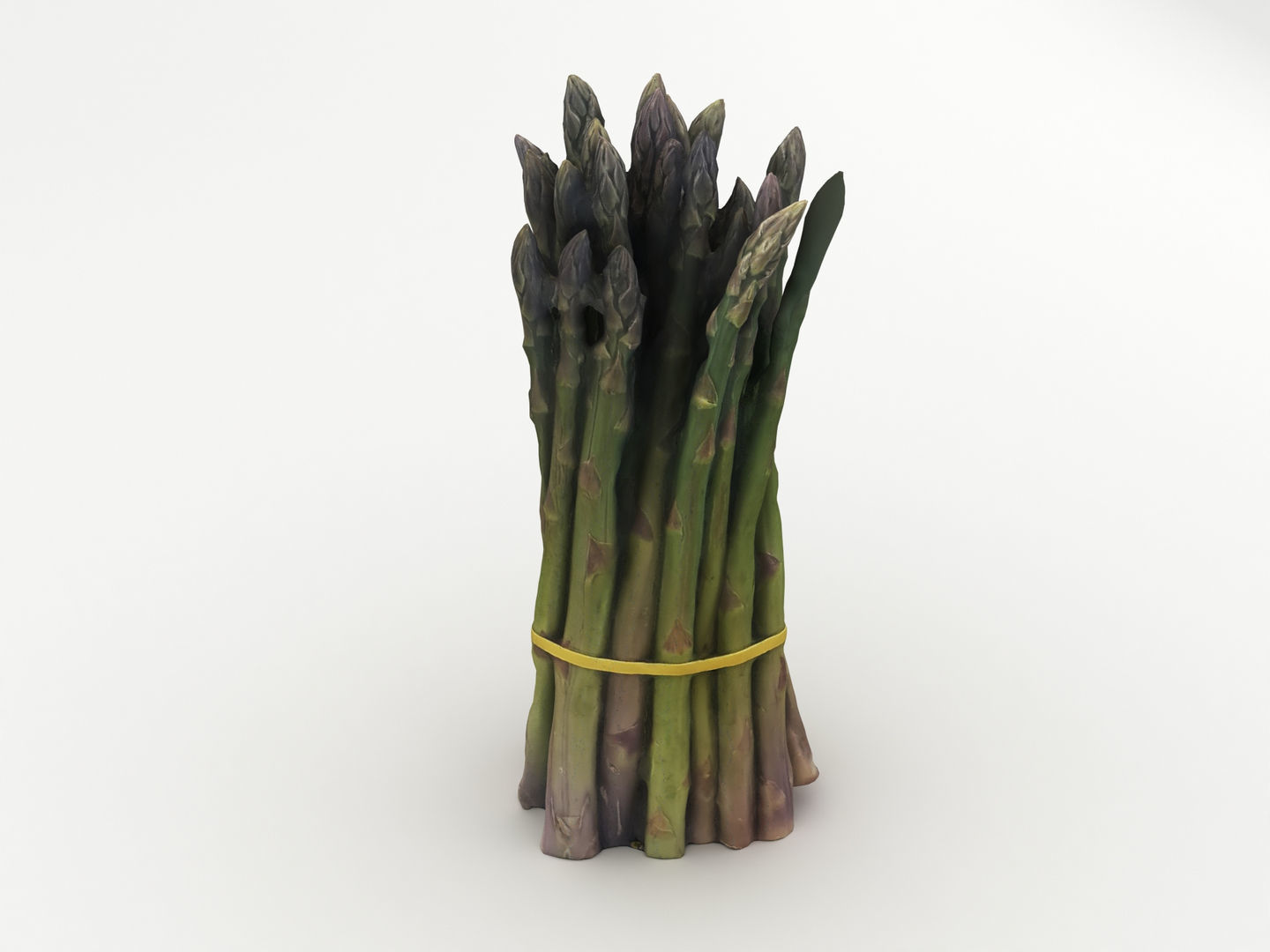 Green Asparagus Bundle 3D model_4