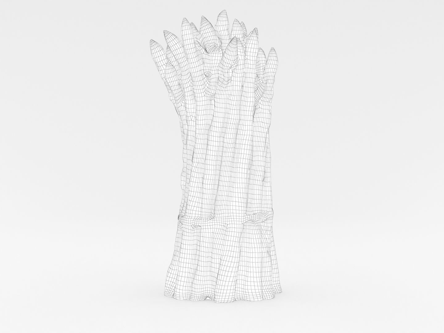 Green Asparagus Bundle 3D model_15