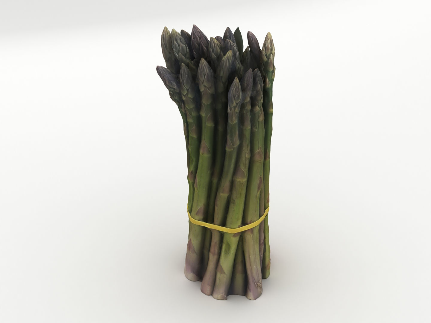 Green Asparagus Bundle 3D model_5