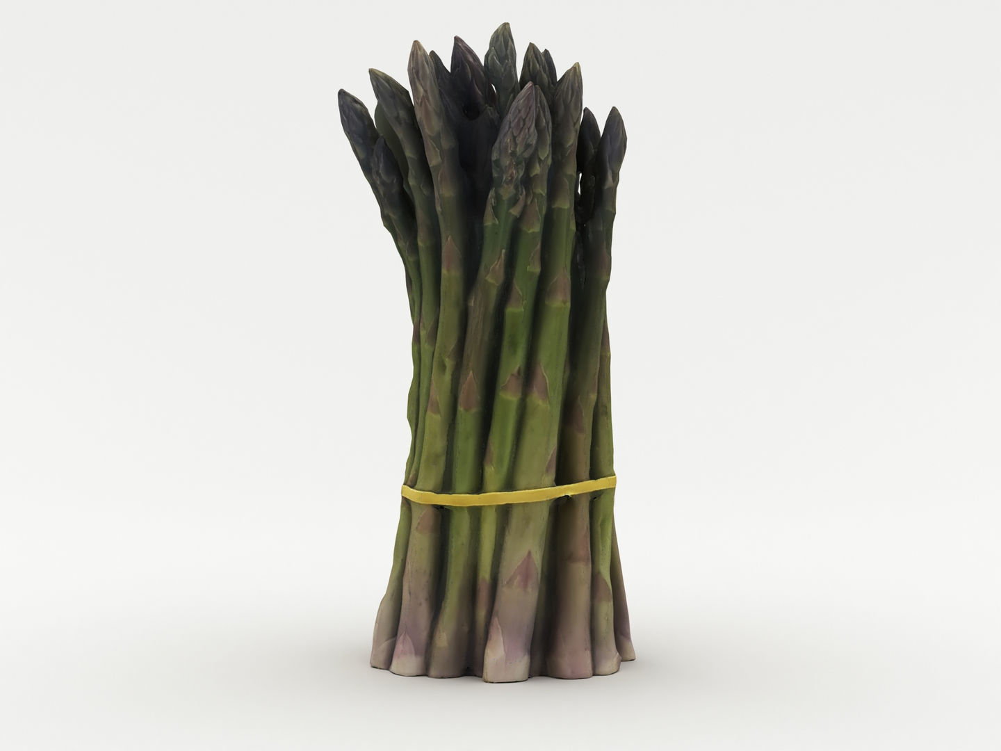 Green Asparagus Bundle 3D model_6