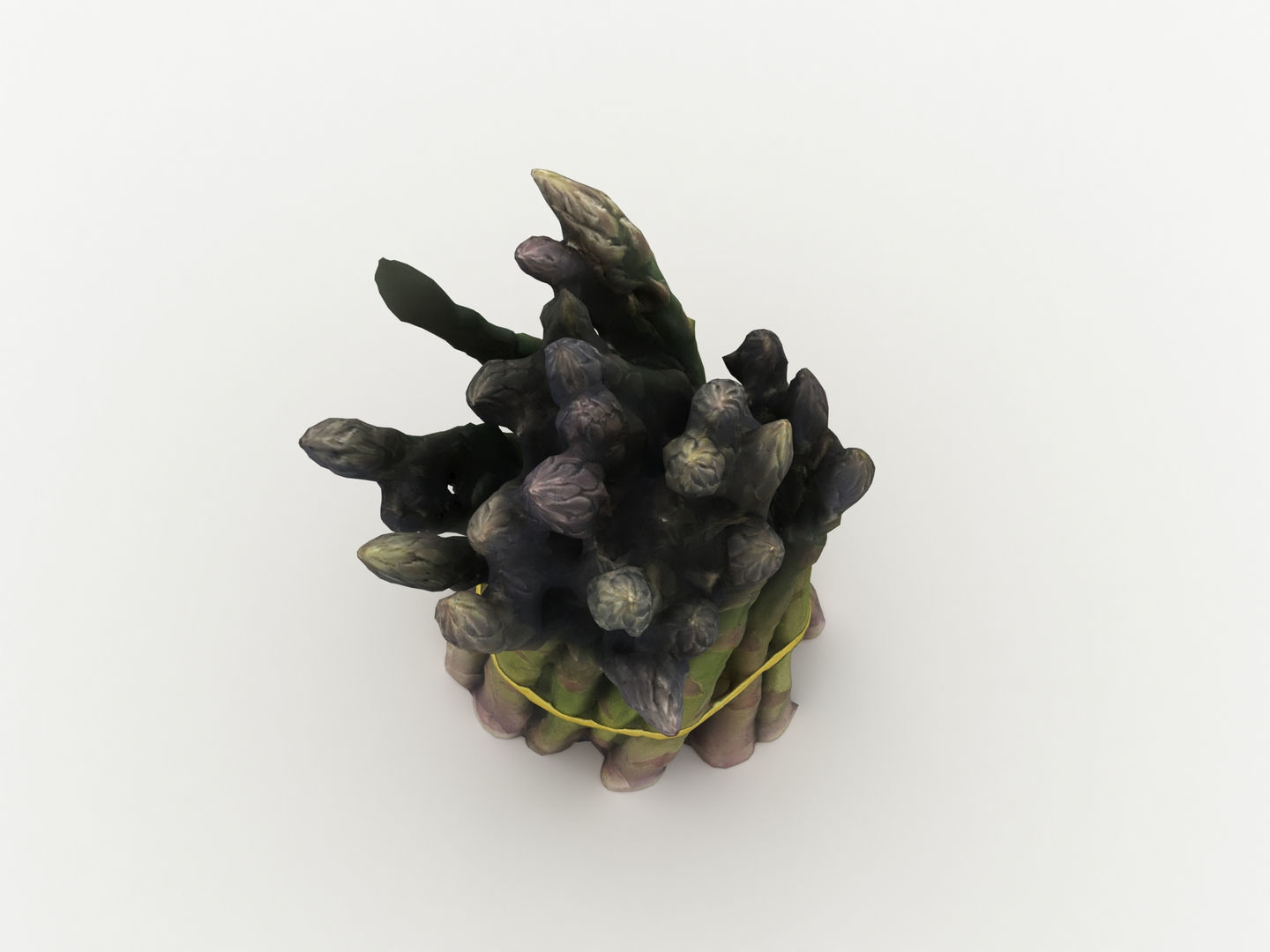 Green Asparagus Bundle 3D model_8