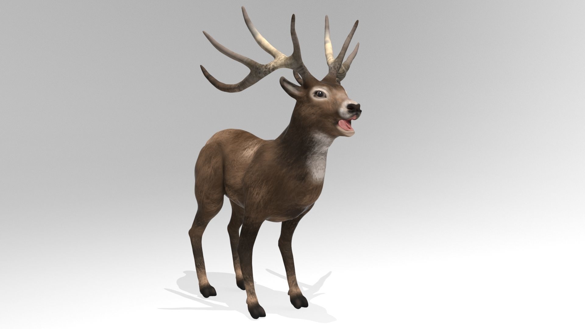 This model Deer 3D model_1