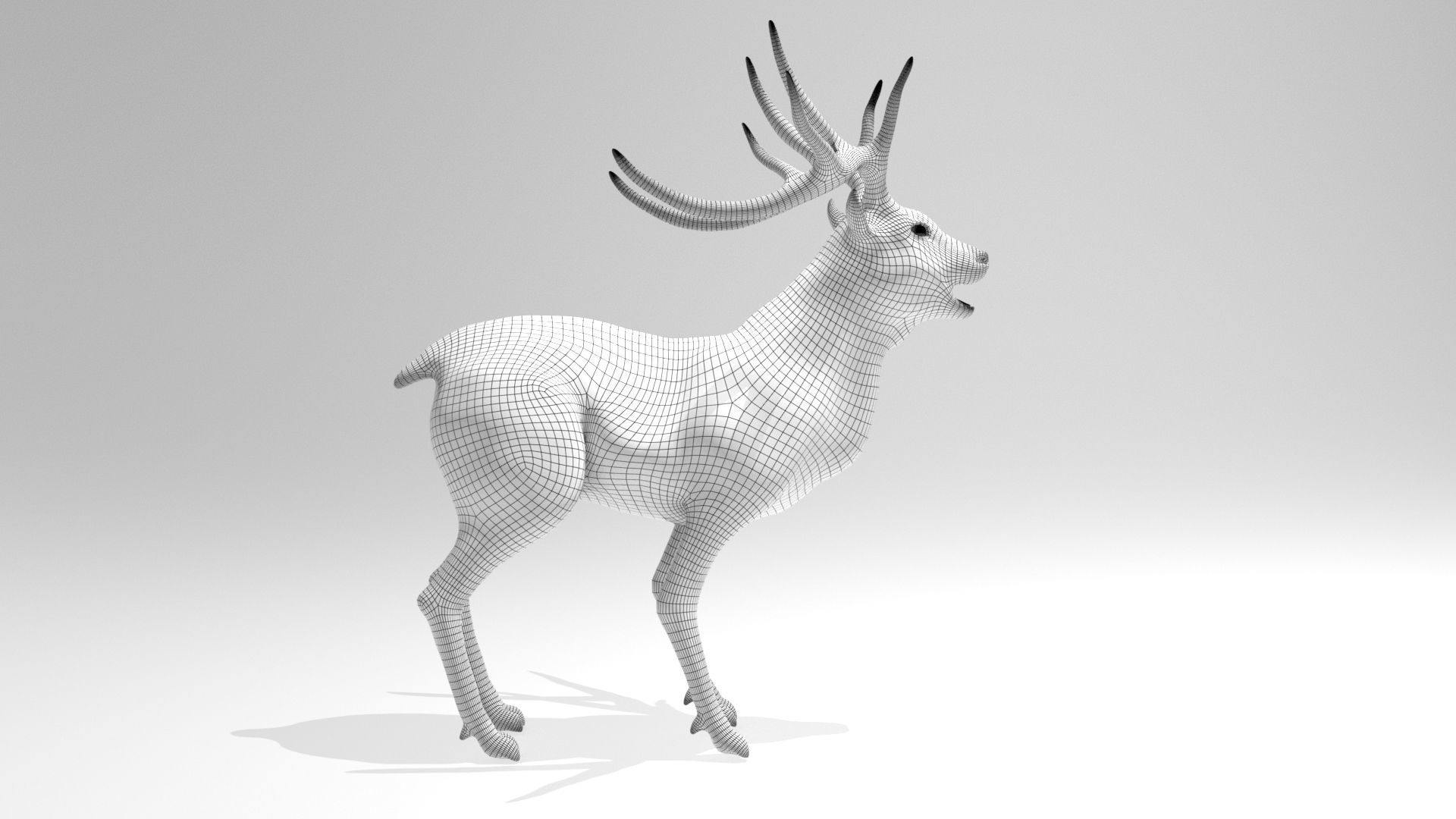 This model Deer 3D model_9