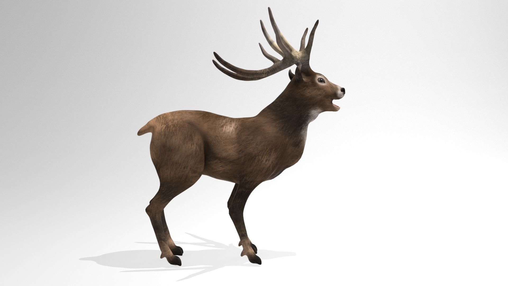 This model Deer 3D model_2