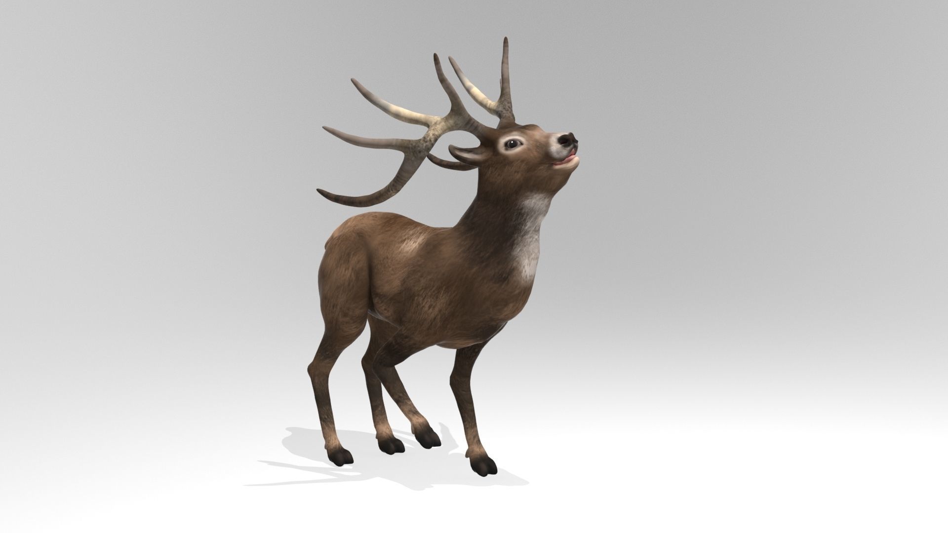 This model Deer 3D model_8