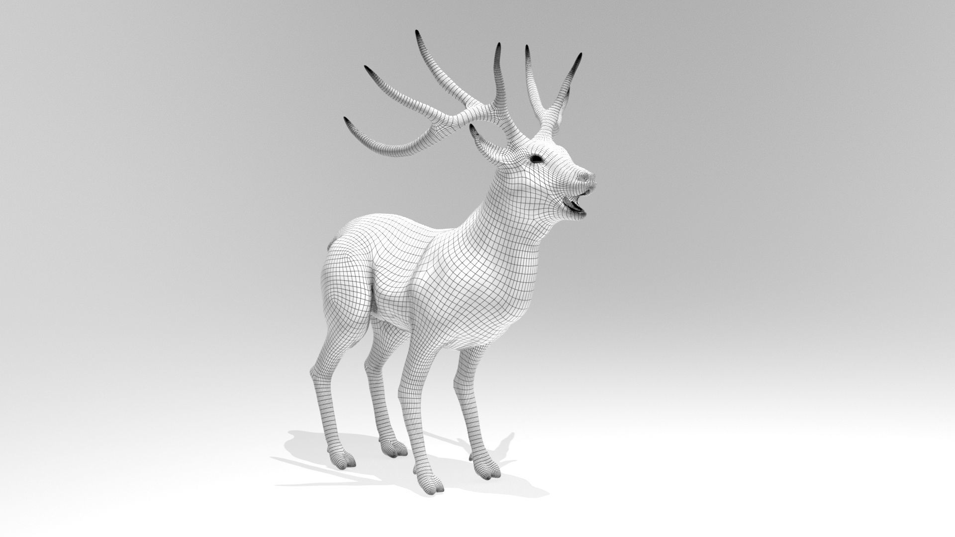This model Deer 3D model_10