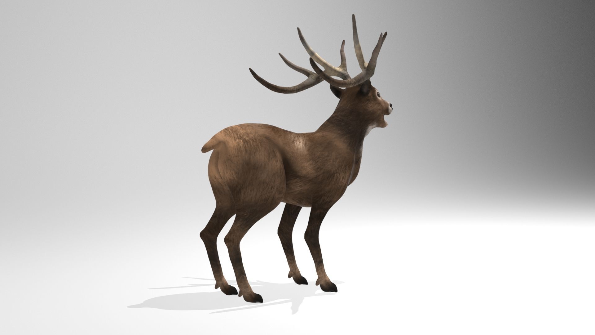 This model Deer 3D model_4