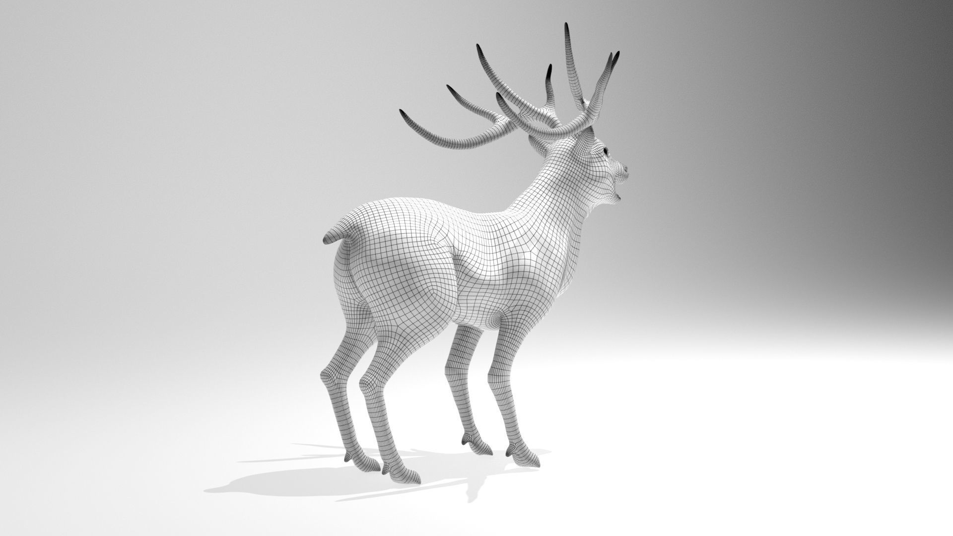 This model Deer 3D model_11