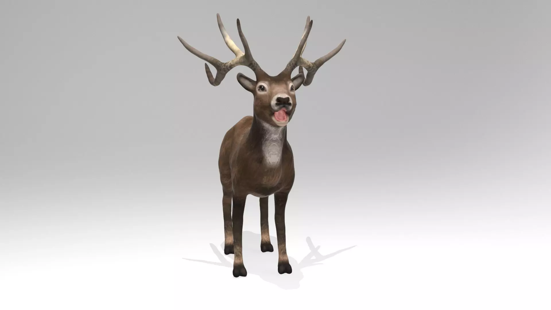 This model Deer 3D model_0