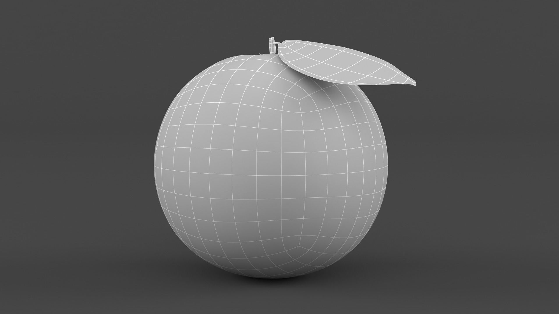 Orange Fruit 3D model_6