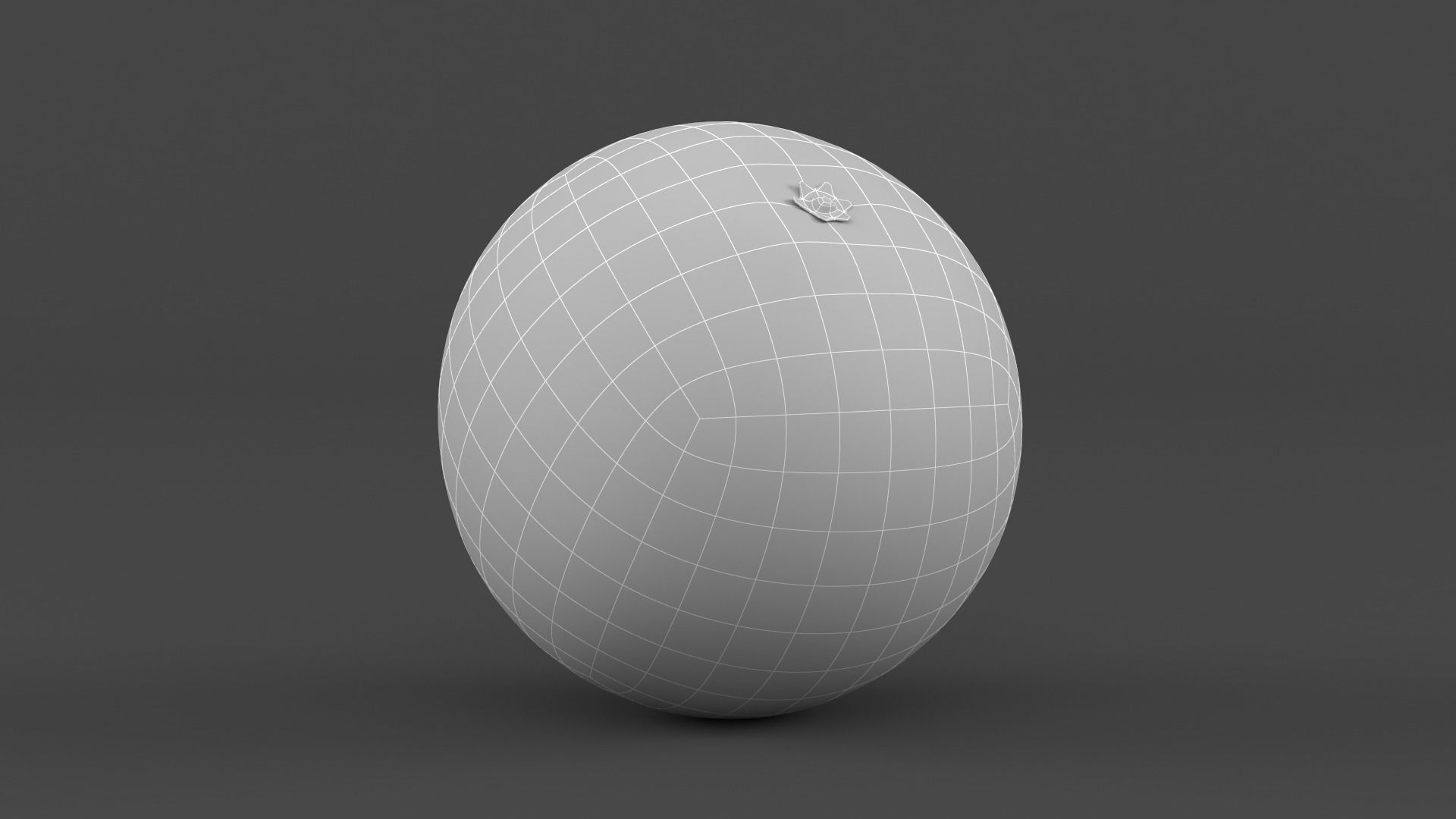 Orange Fruit 3D model_8