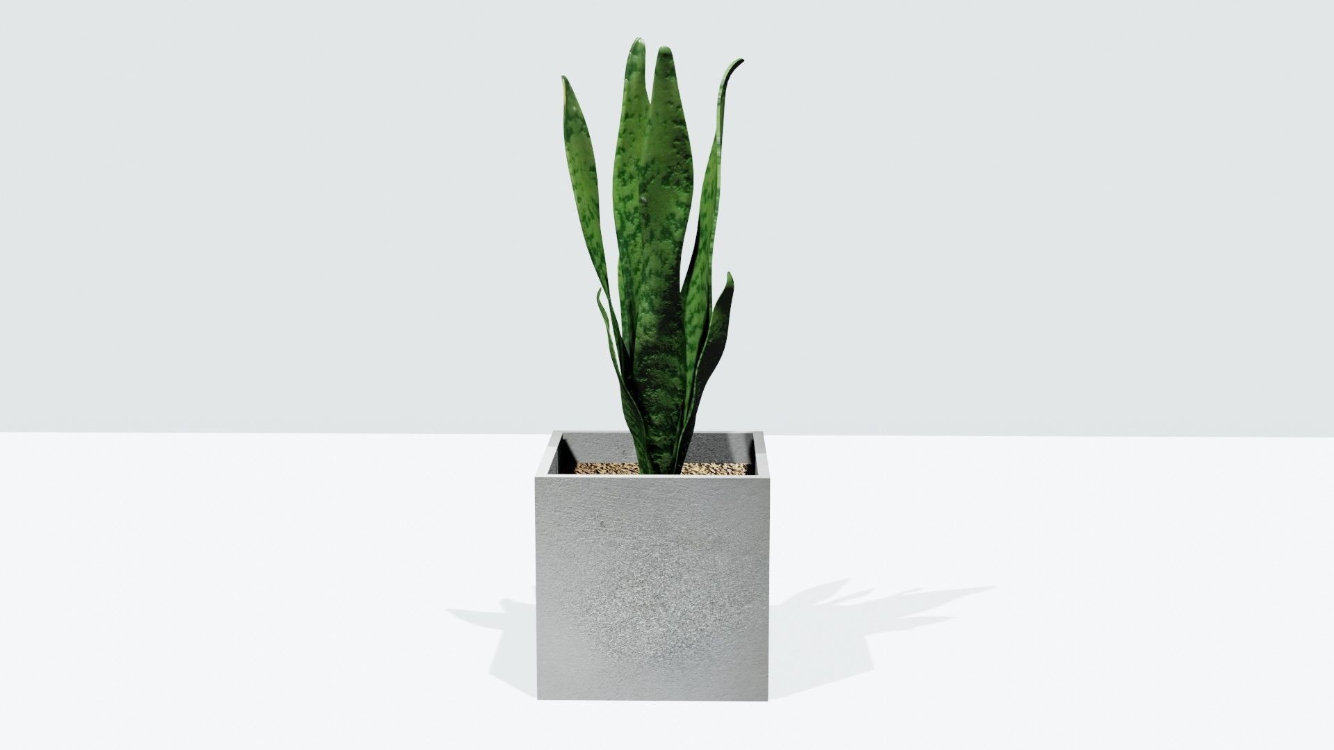 pot plant free VR / AR / lowpoly 3D model CGTrader