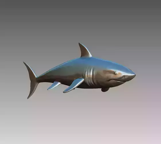 Shark 3D print model