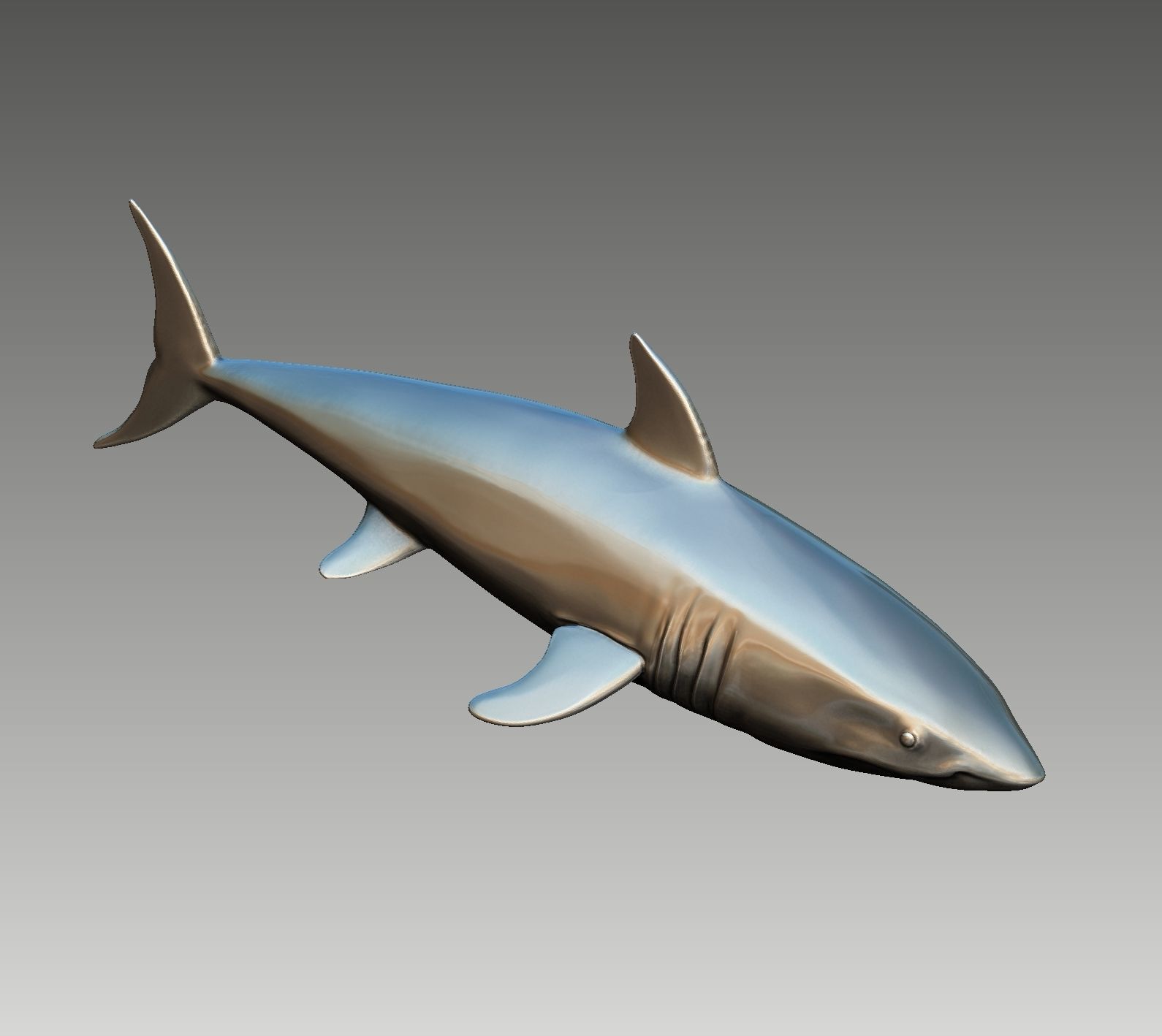 Shark 3D print model_3