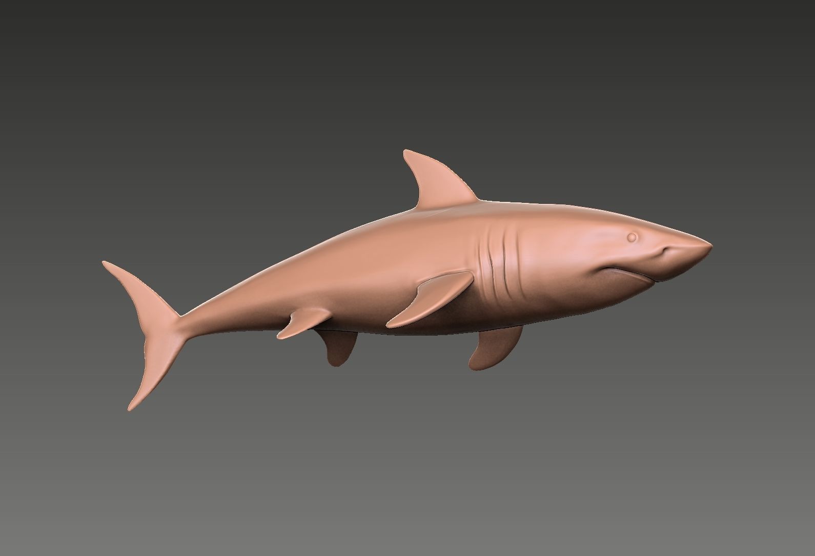 Shark 3D print model_8