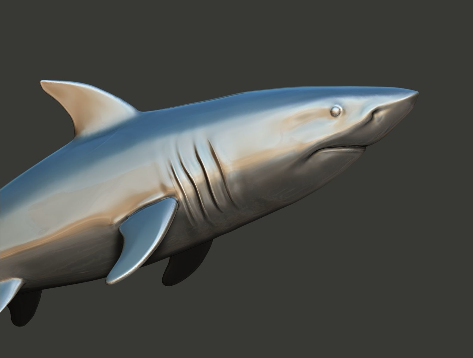 Shark 3D print model_6