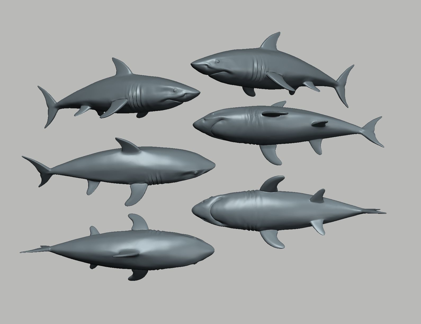 Shark 3D print model_10
