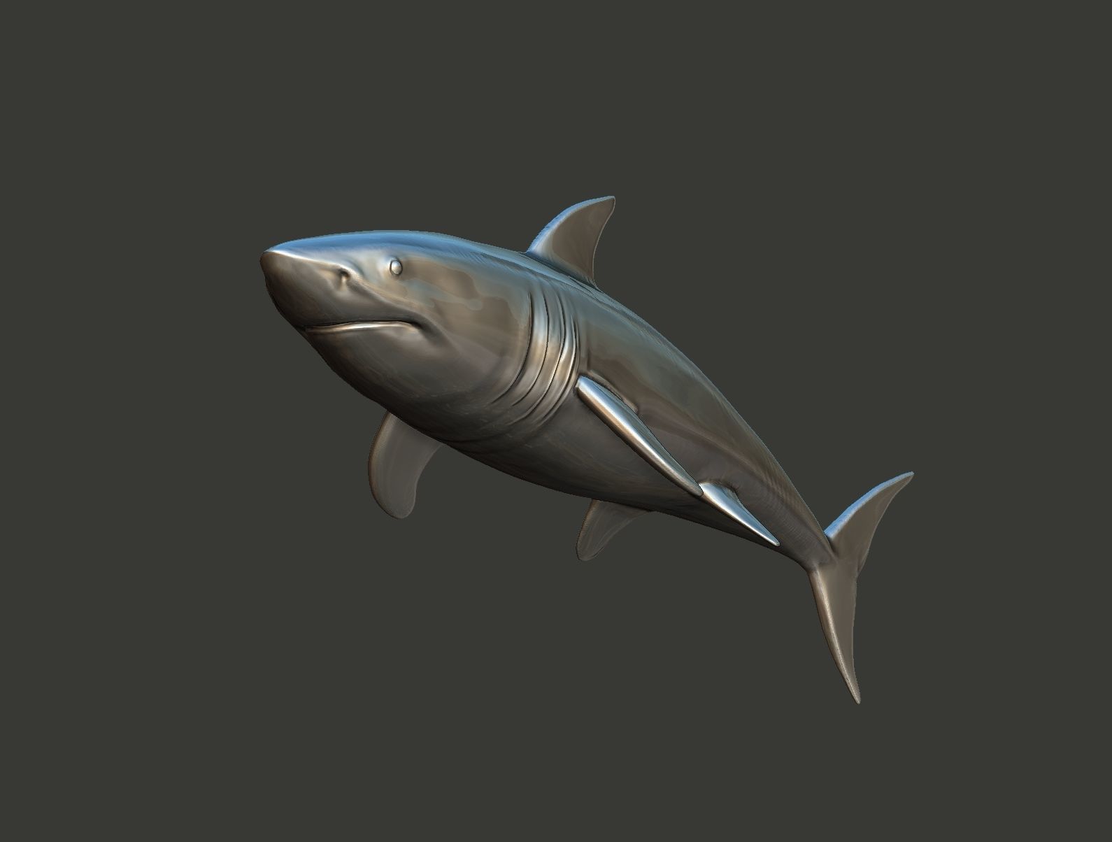 Shark 3D print model_4