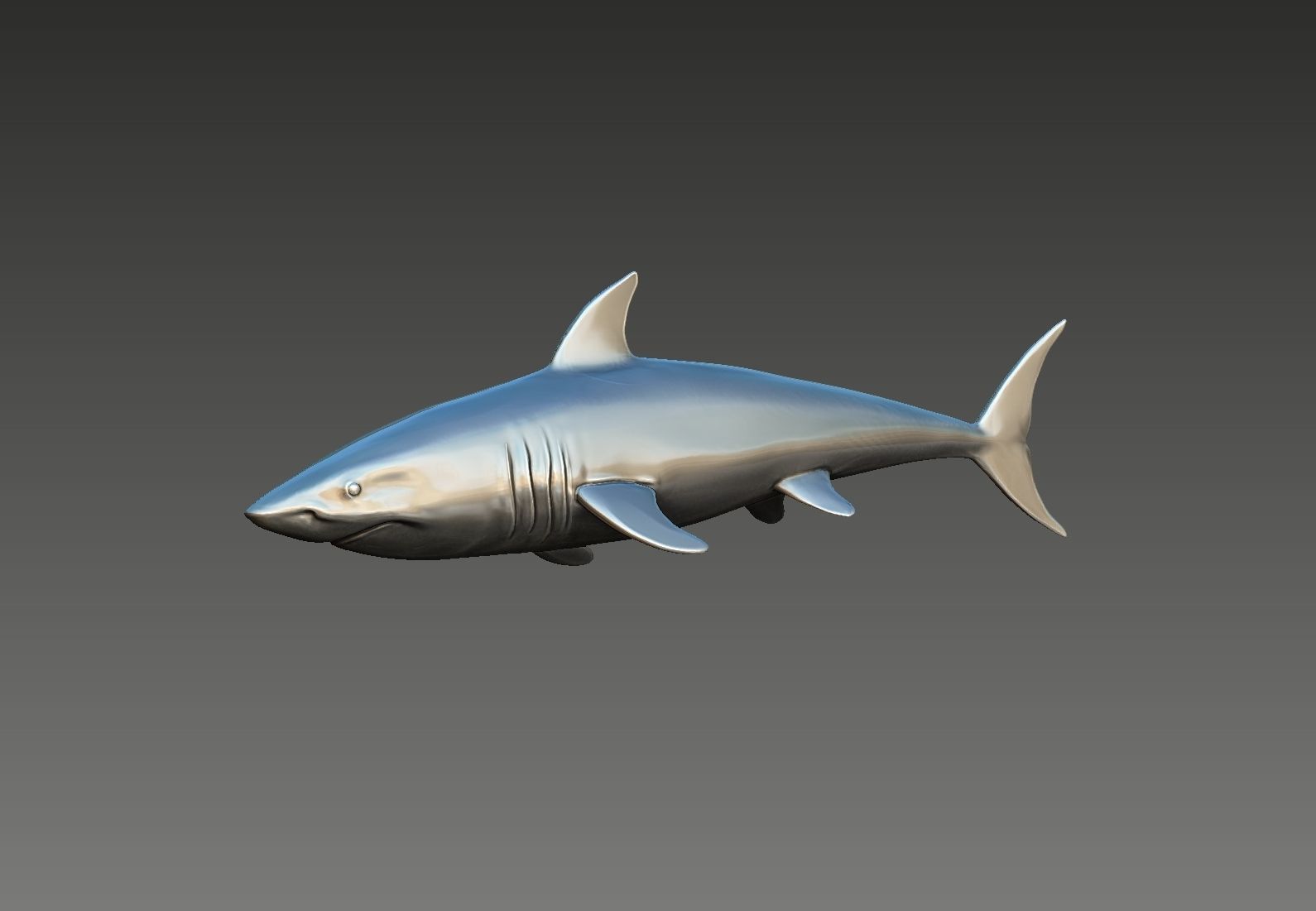 Shark 3D print model_1
