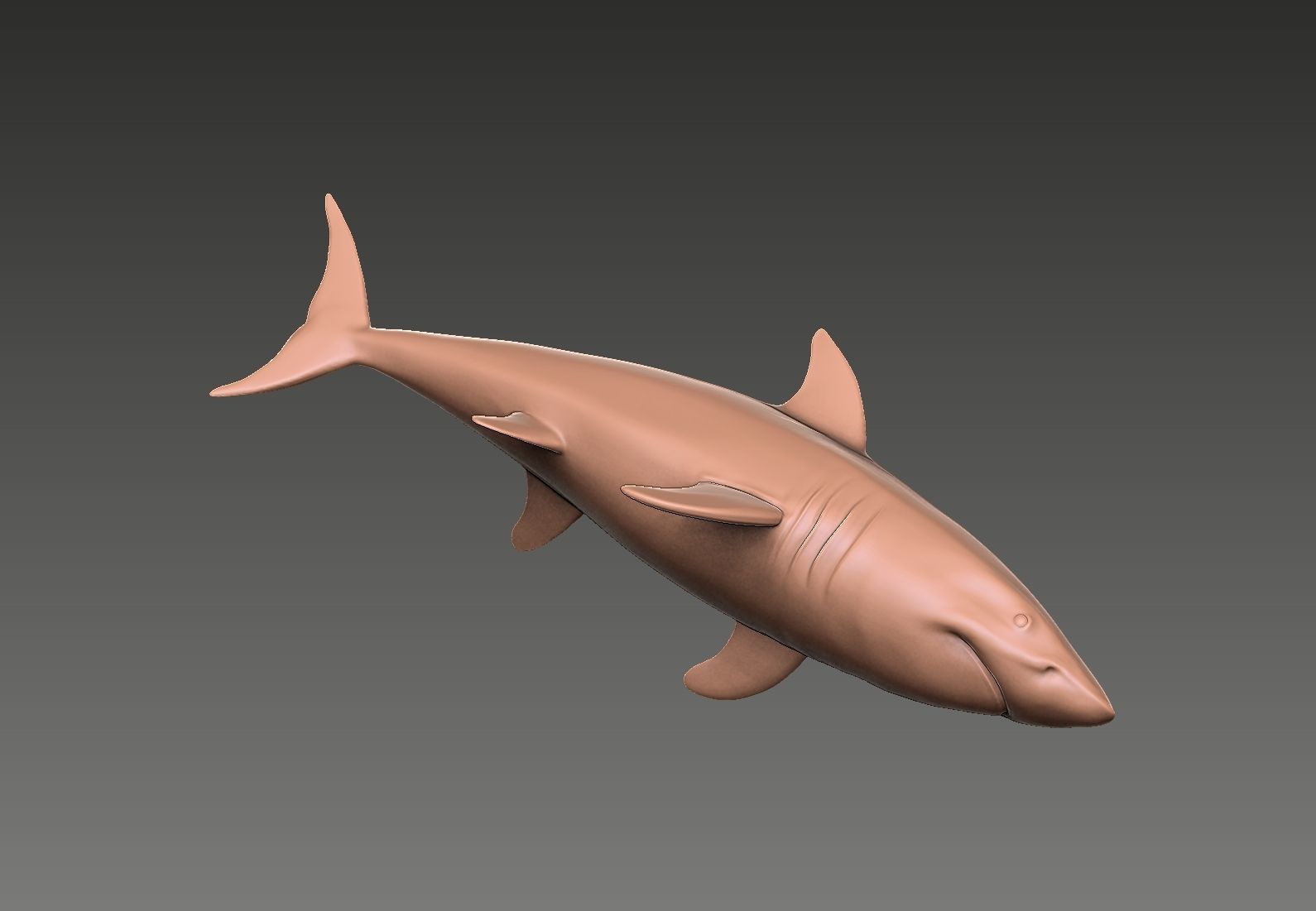 Shark 3D print model_9