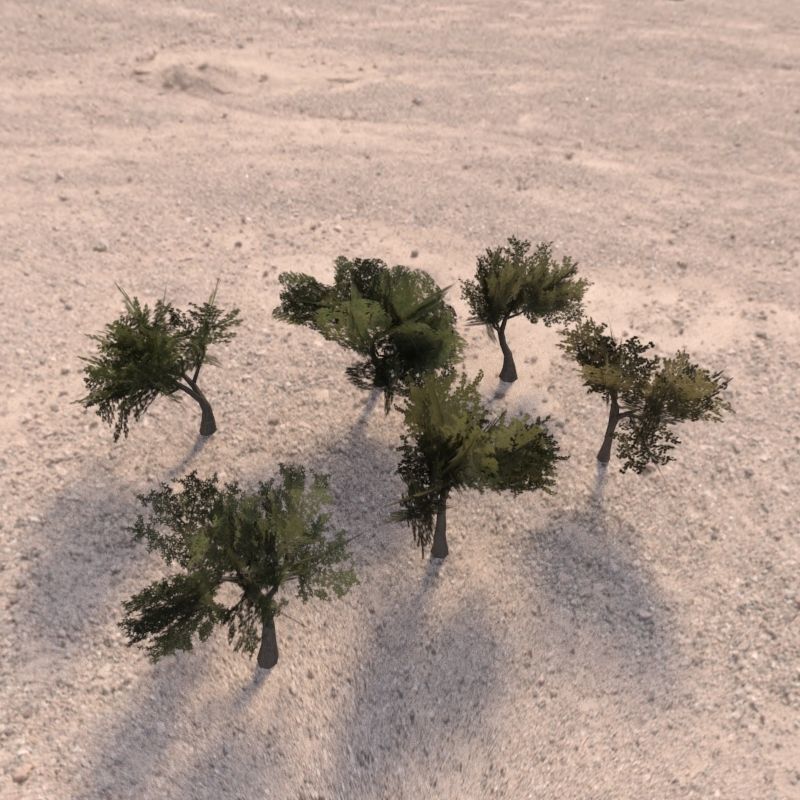Trees low poly game ready four in middle of desert Low-poly 3D model_1