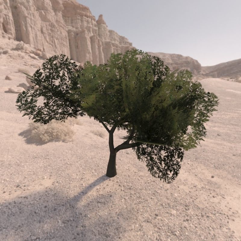 Trees low poly game ready four in middle of desert Low-poly 3D model_7