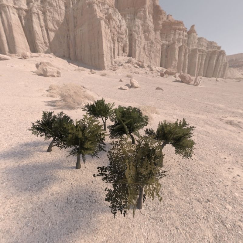 Trees low poly game ready four in middle of desert Low-poly 3D model_4