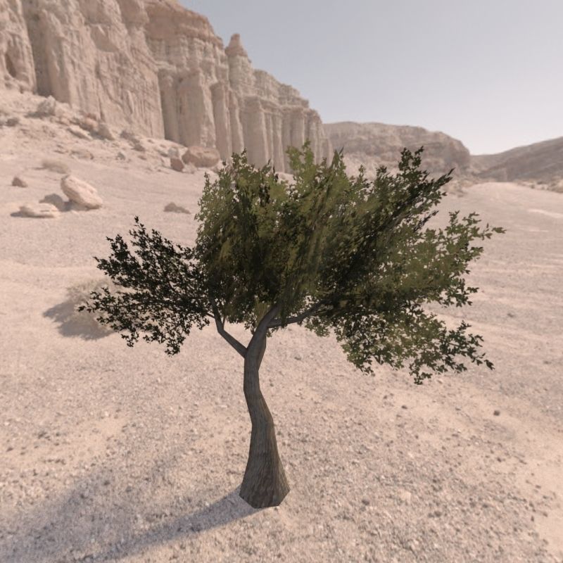 Trees low poly game ready four in middle of desert Low-poly 3D model_8