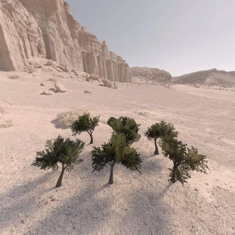 Trees low poly game ready four in middle of desert Low-poly 3D model_0