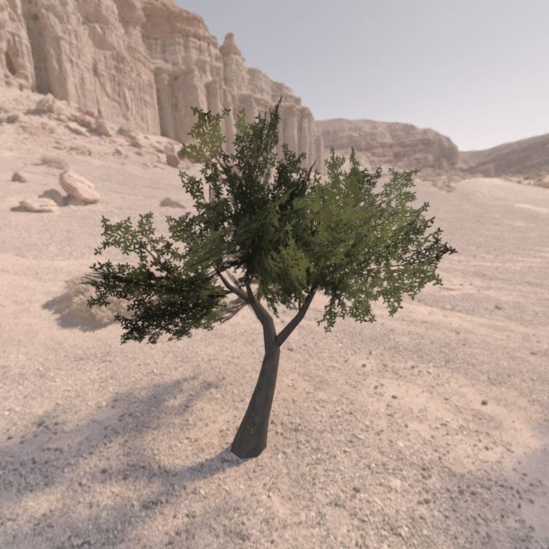 Trees low poly game ready four in middle of desert Low-poly 3D model_9