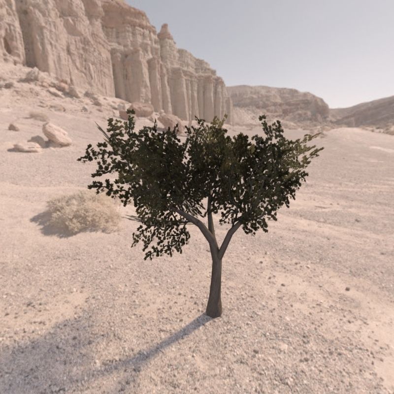 Trees low poly game ready four in middle of desert Low-poly 3D model_10