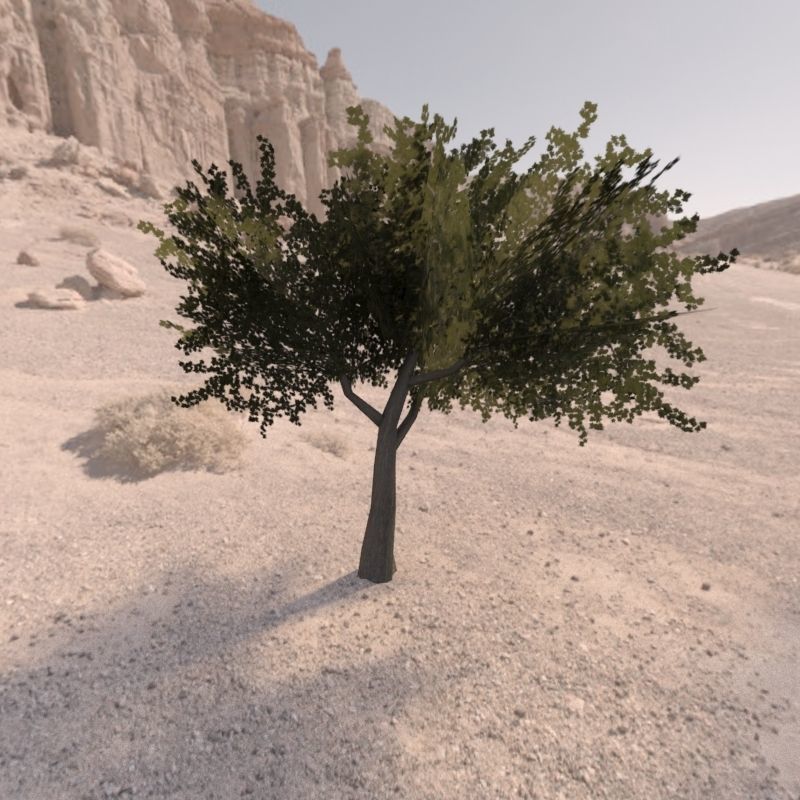Trees low poly game ready four in middle of desert Low-poly 3D model_5