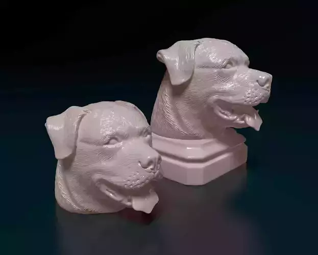 Rottweiler head 3D print model