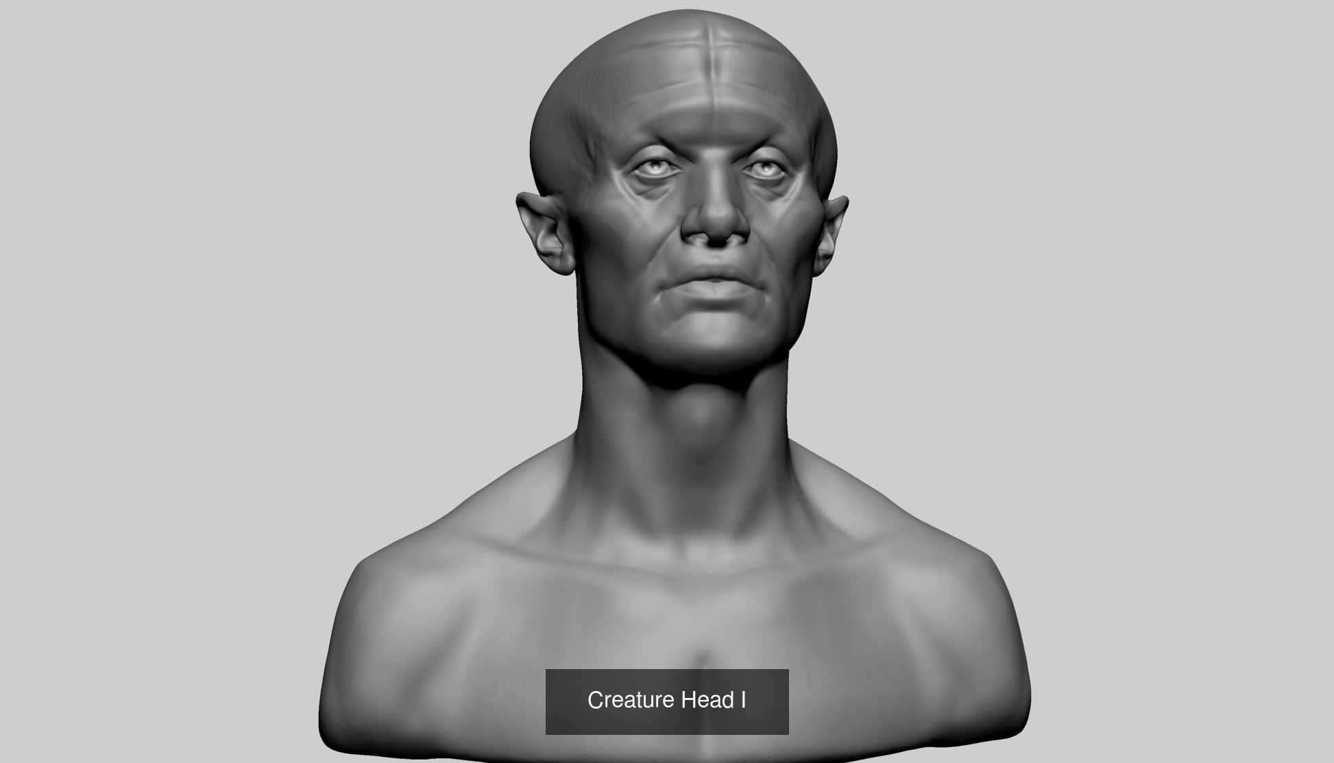 Male Head Collection A _19