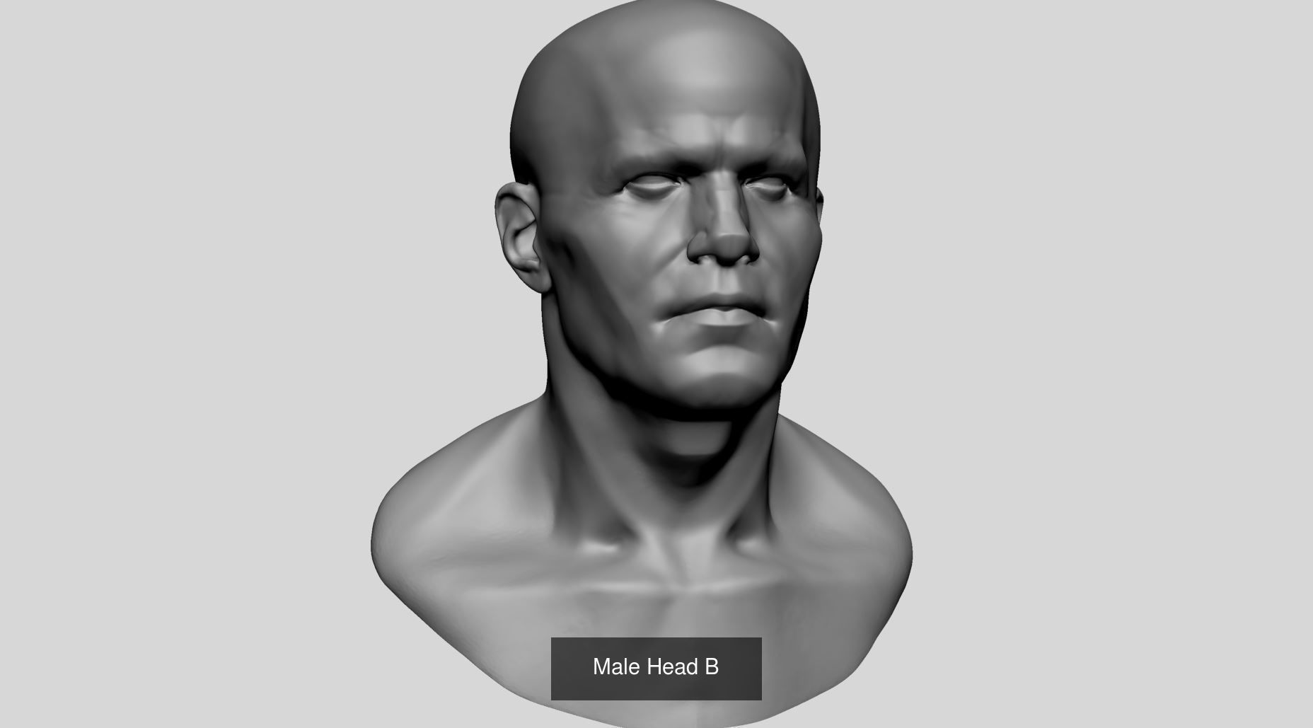 Male Head Collection A _8