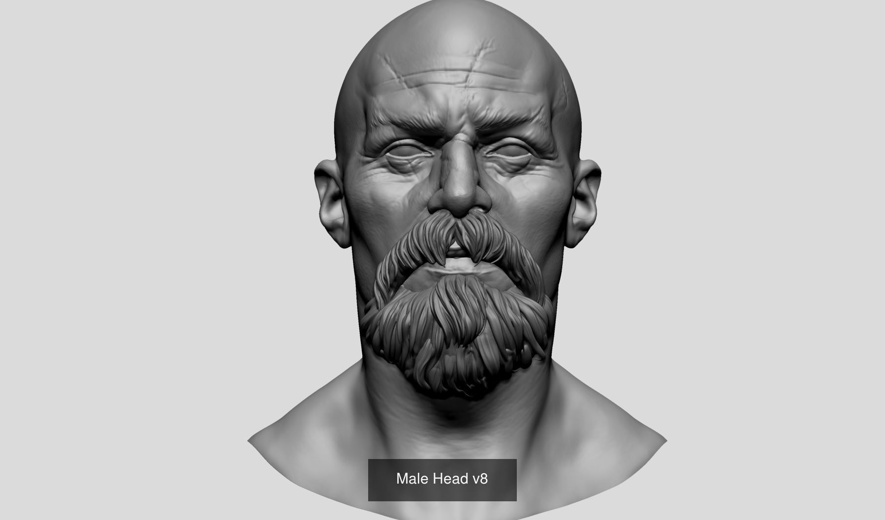 Male Head Collection A _4