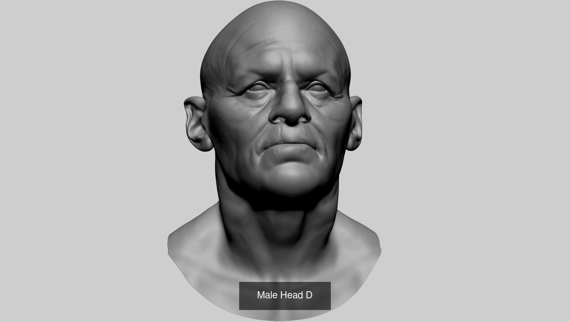 Male Head Collection A _12