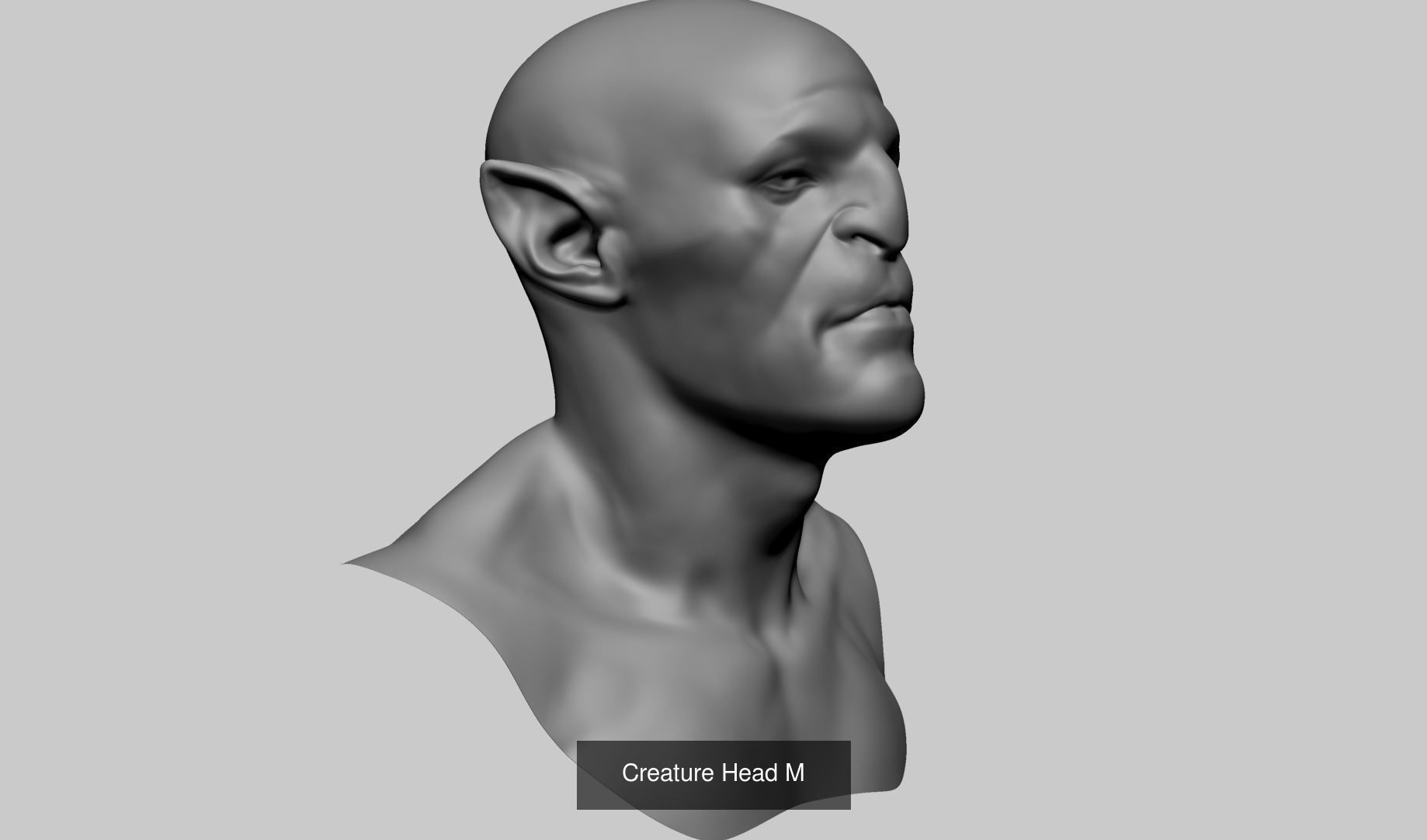 Male Head Collection A _28