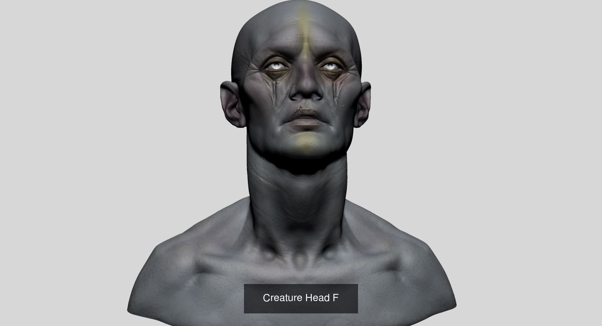 Male Head Collection A _16