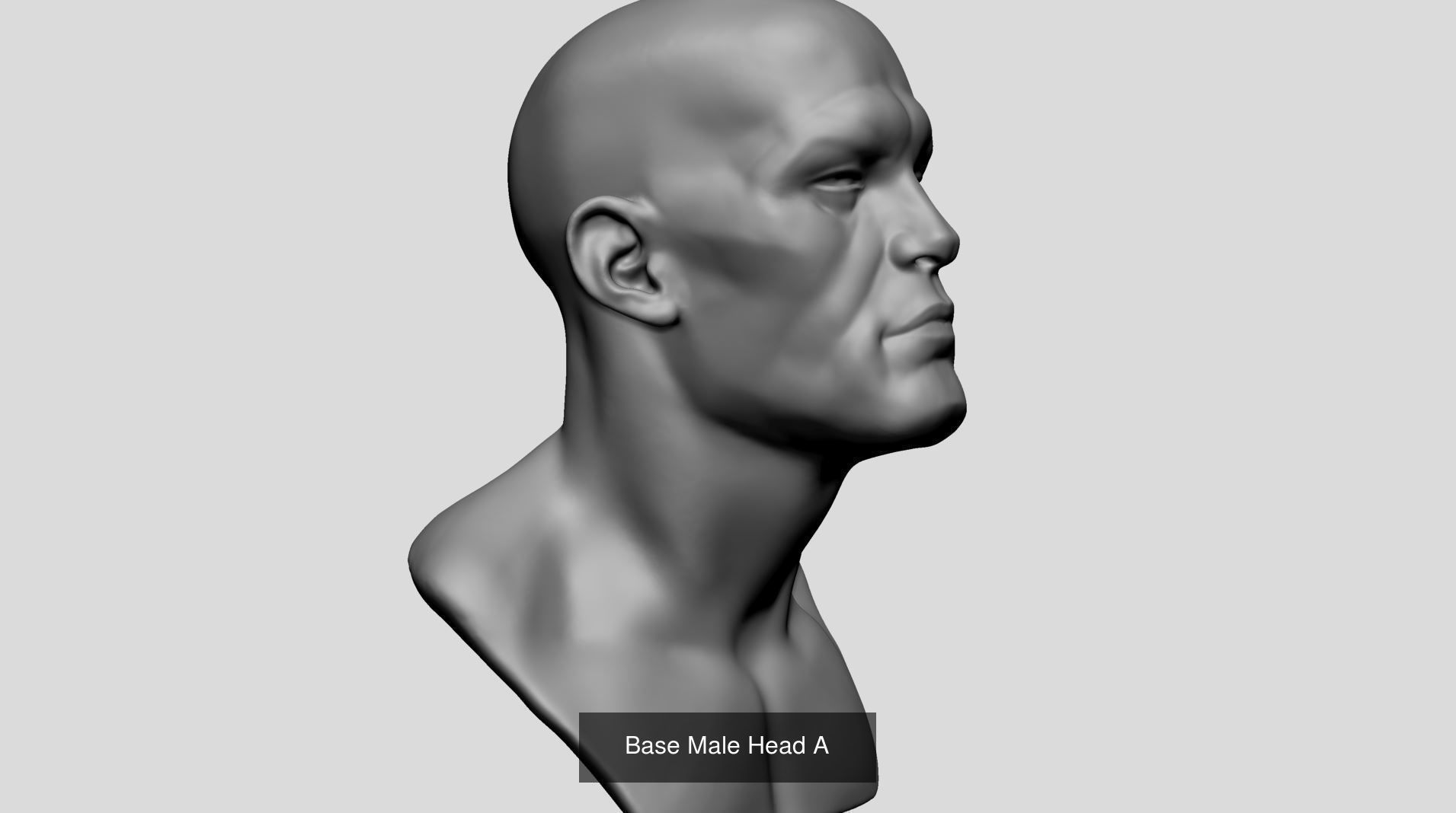 Male Head Collection A _21