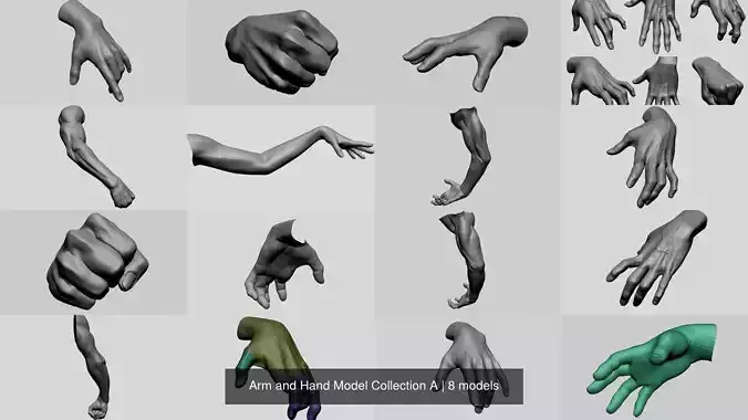 Arm and Hand Model Collection A 