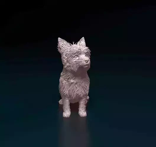 Yorkshire terrier 3D print model