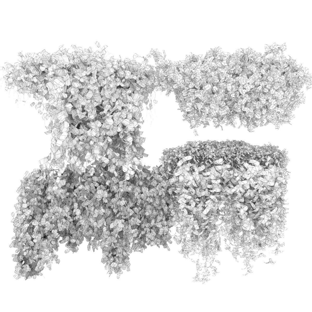 Collection plant vol 387 - bush - ivy - outdoor - fitowall 3D model_5