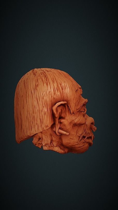 Shrunken Head 3D print model_16
